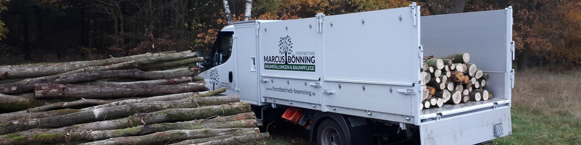 Ihr regionaler Dienstleister rund um den Baum • Forstbetrieb Marcus Bönning